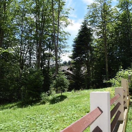 Alpin Residence Sinaia Kültér fotó