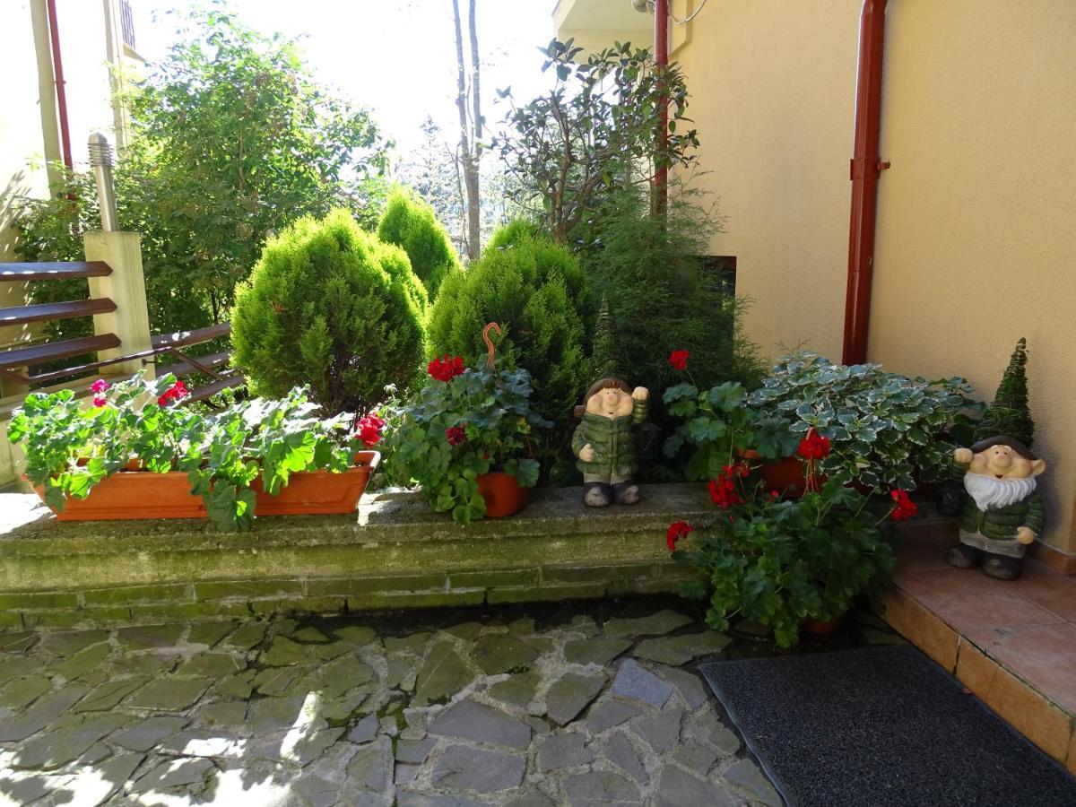 Alpin Residence Sinaia Kültér fotó