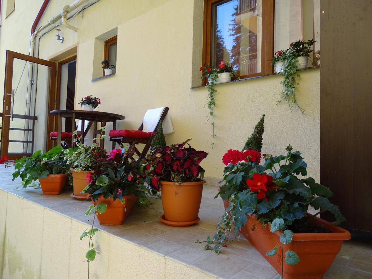 Alpin Residence Sinaia Kültér fotó