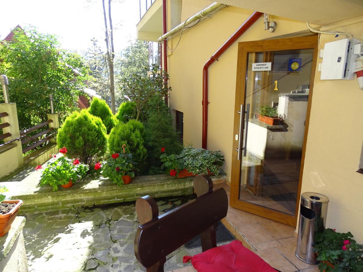 Alpin Residence Sinaia Kültér fotó