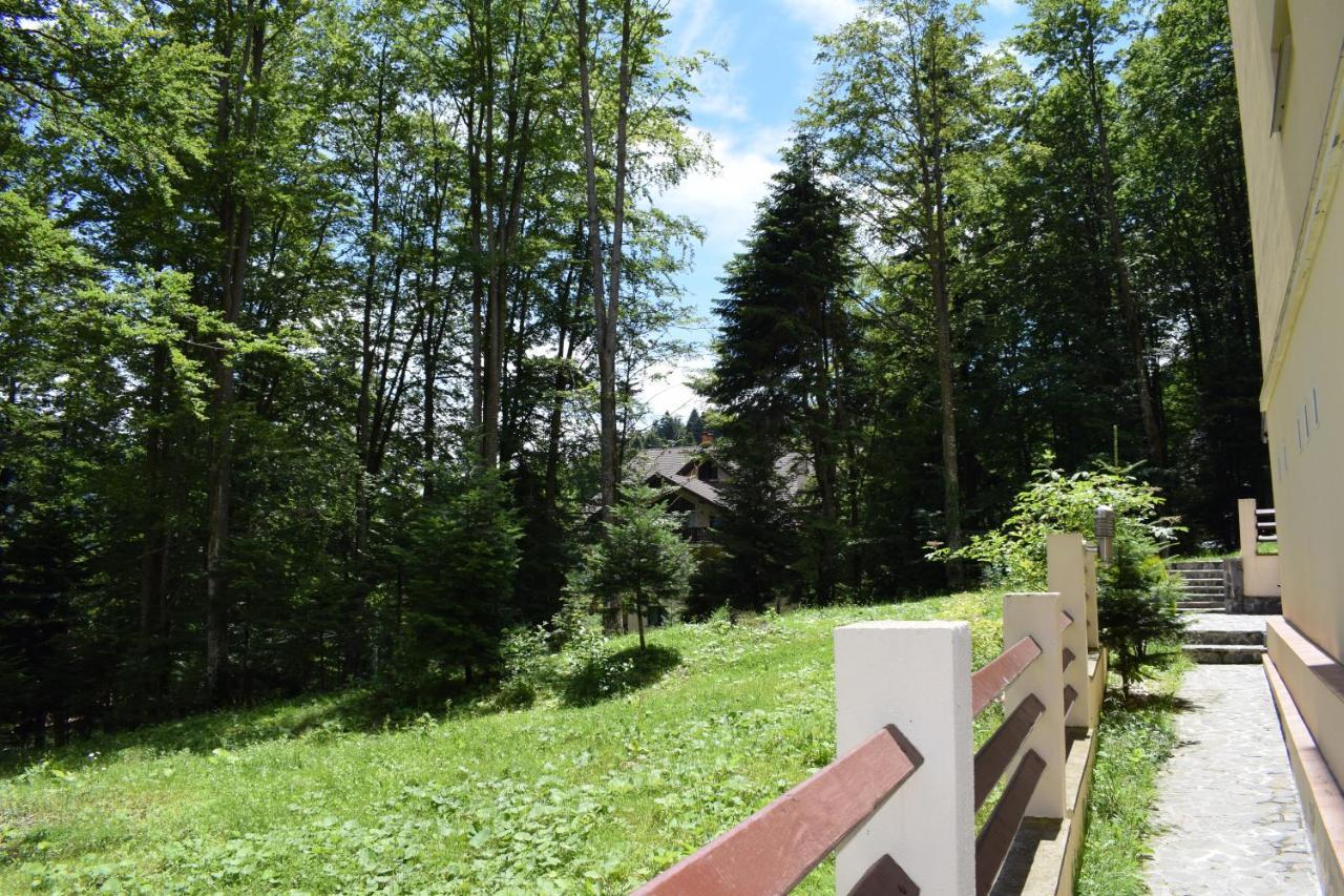 Alpin Residence Sinaia Kültér fotó