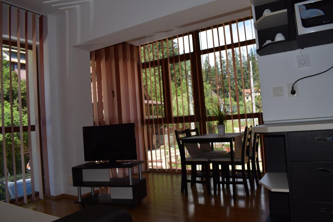 Alpin Residence Sinaia Kültér fotó